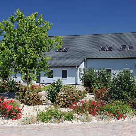 Hédervári Lovas Vendégház Extérieur photo